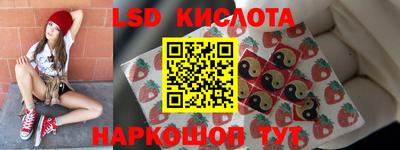 индика Ставрополь
