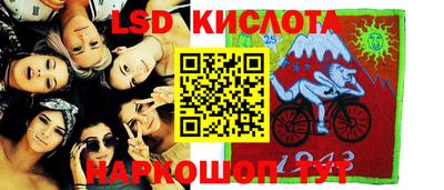 индика Ставрополь