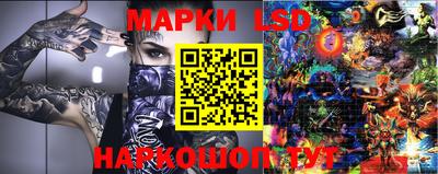 индика Ставрополь