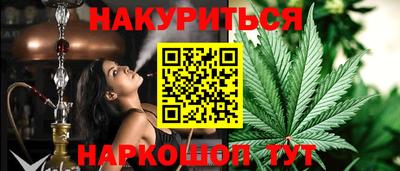 индика Ставрополь