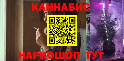 индика Ставрополь
