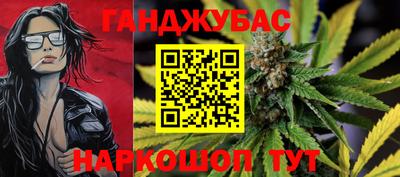 индика Ставрополь