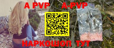 индика Ставрополь