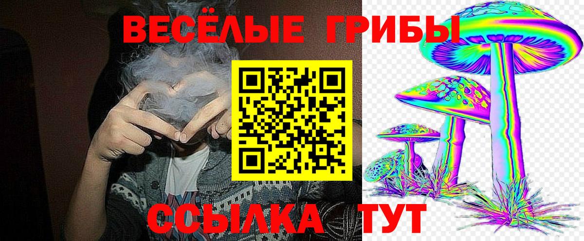 Псилоцибиновые грибы прущие грибы  Псилоцибиновые грибы мухоморы  Острогожск  купить наркоту  Вход с VPN 